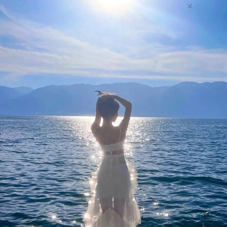 伙头智多星国语 海报